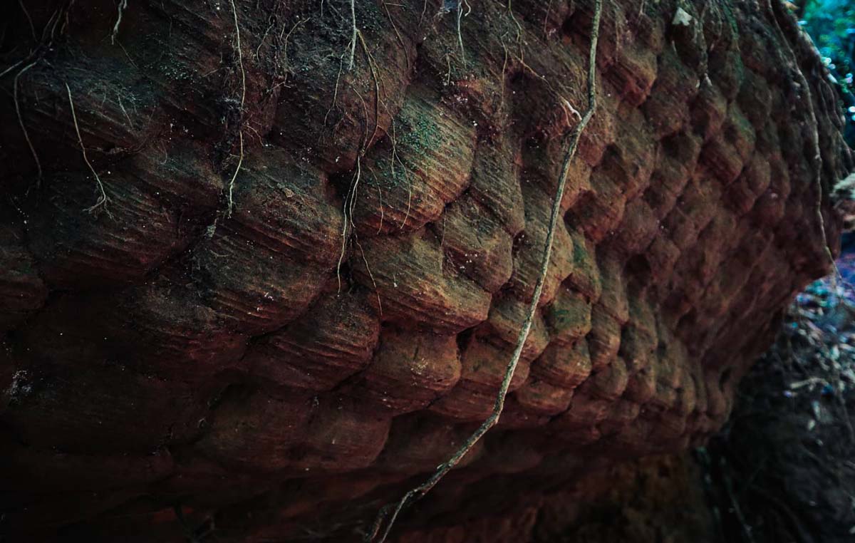 เปิดเส้นทาง \