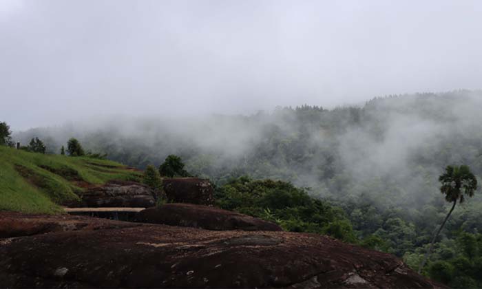 ภูหินร่องกล้า พร้อมเปิดรับนักท่องเที่ยวแล้ว 16 ก.ย.นี้