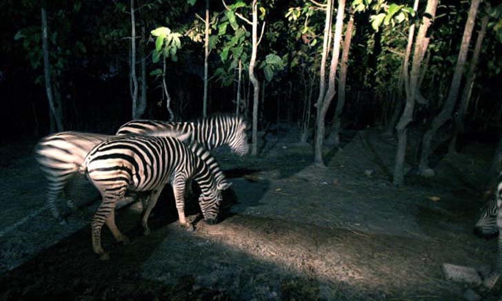 ททท. ประกาศรายชื่อที่เที่ยว \