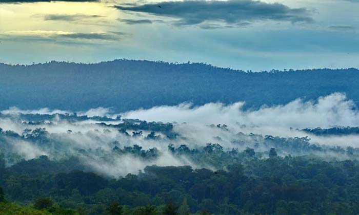 ทะเลหมอกทับลาน จุดชมทะเลหมอกสุดอลังการใกล้กรุงเทพฯ