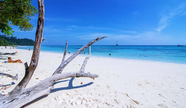 ผลสำรวจเผย! เกินครึ่งของนักท่องเที่ยวชาวไทยปักหมุดเที่ยวในประเทศในปี 2565