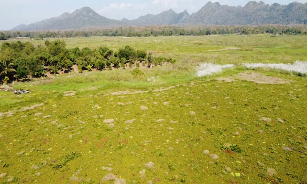 วิกฤติแหล่งท่องเที่ยว! จอกแหนหลายพันตันลอยกลางเขื่อนกิ่วลมกระทบแพท่องเที่ยว