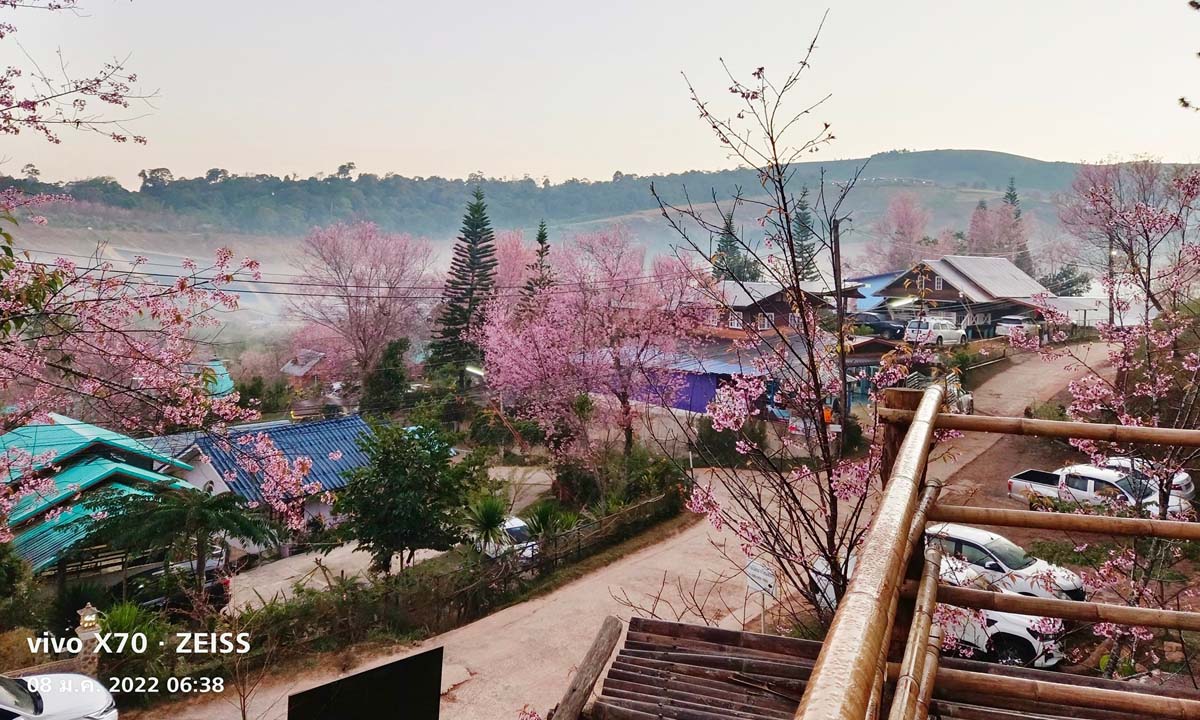 บ้านร่องกล้า หมู่บ้านกลางดงดอกนางพญาเสือโคร่ง บรรยากาศสุดโรแมนติก