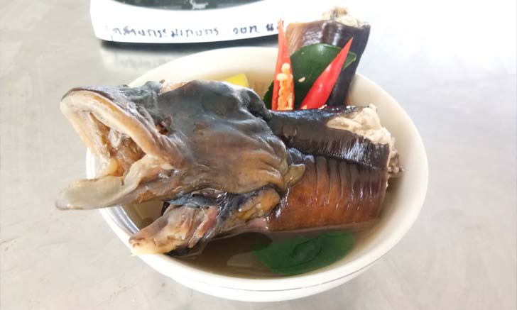 ปลาไหลต้มเปรตบรรจุกระป๋อง ผลิตภัณฑ์ใหม่แปลกแหวกแนวที่ทำมาขายจริง!