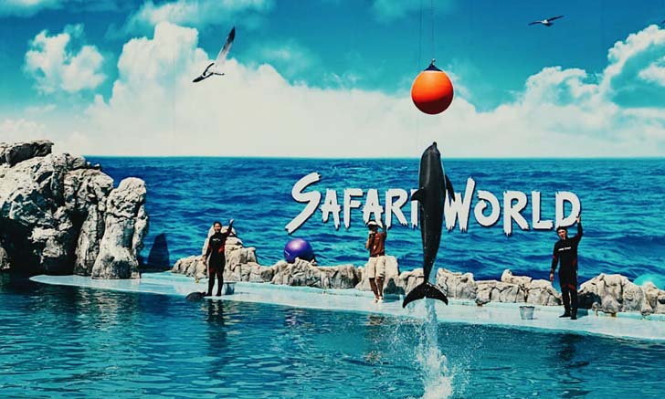 Safari World ปล่อยโปรโมชัน 999 บาท เที่ยวได้ทั้งปี โปรดีๆ ต้องรีบไปจัด!