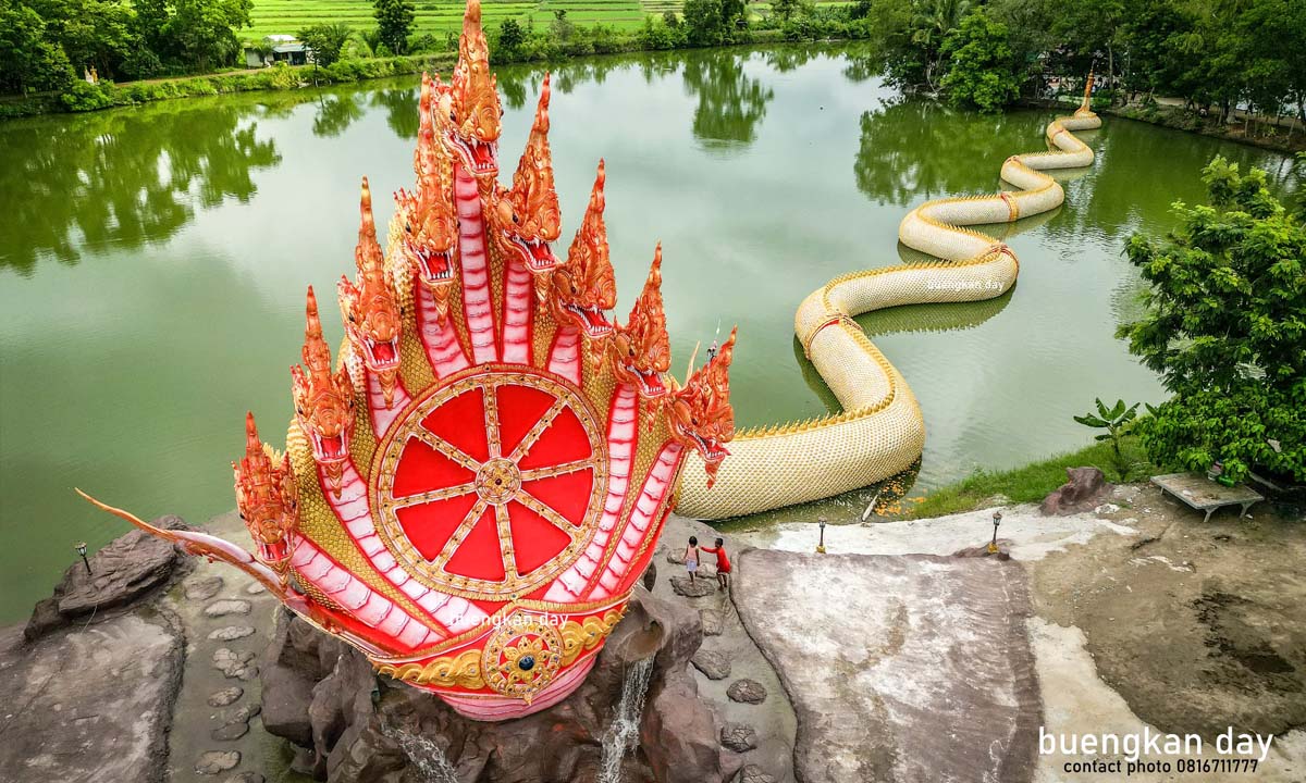 พญานาค 9 เศียร ลำตัวยาว 131 เมตร เลื้อยผ่านบ่อน้ำ สวยงามจนขนลุก! @วัดศรีดาราม