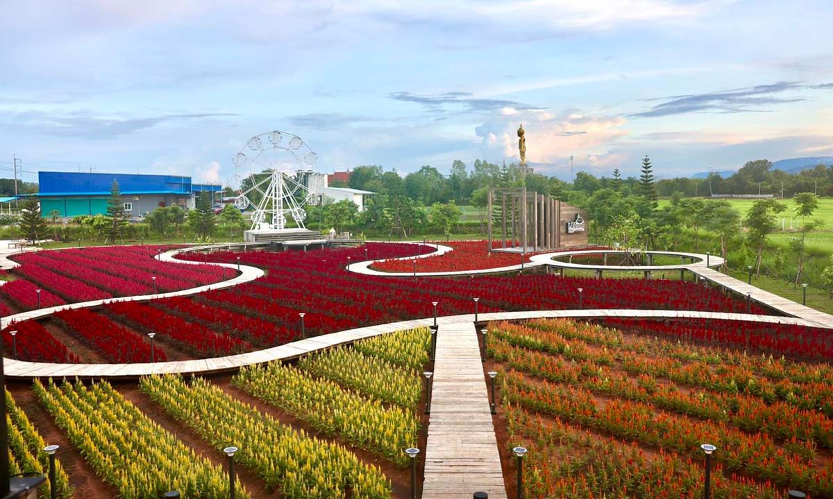 La Borne point - ลา บล็อง พ้อยท์ คาเฟ่กลางสวนดอกไม้ ใหม่ล่าสุดของเพชรบูรณ์!