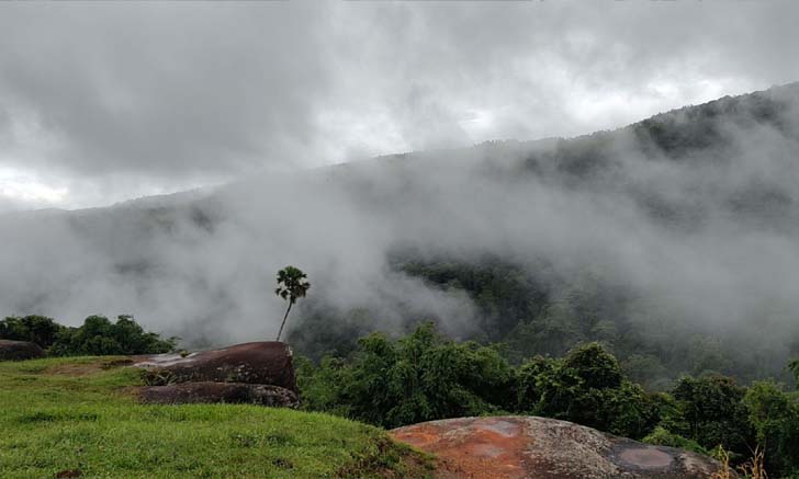 หมอกหลังฝนที่ภูหินร่องกล้า สวยตระการตาในยามเช้า