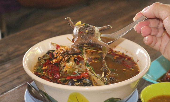 ต้มยำอึ่งไข่ใบมะขามอ่อน เมนูเด็ดหาทานยาก 1 ปีมีเพียงครั้งเดียว @ร้านอาหารบ้านชนบท