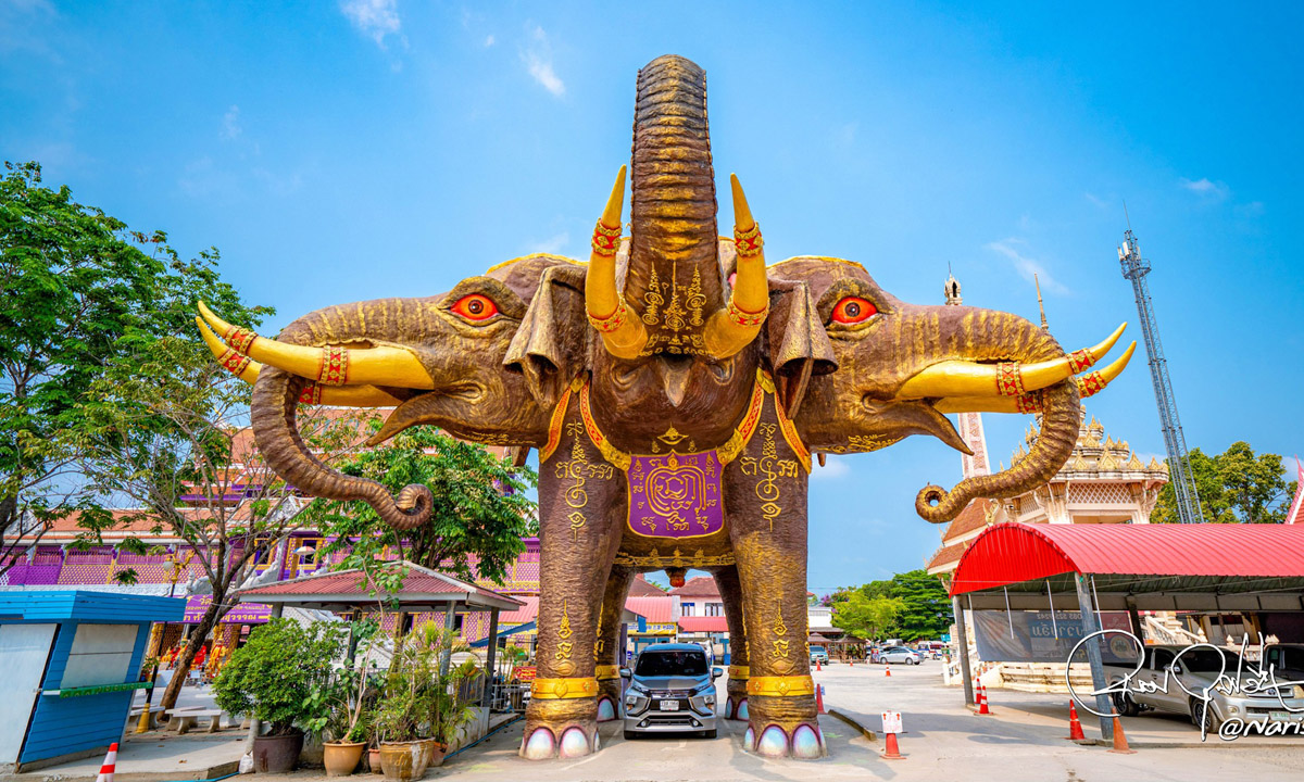 เคยเห็นกันไหม? ลอดท้องช้างแบบ Drive Thru ที่วัดบางจาก นนทบุรี