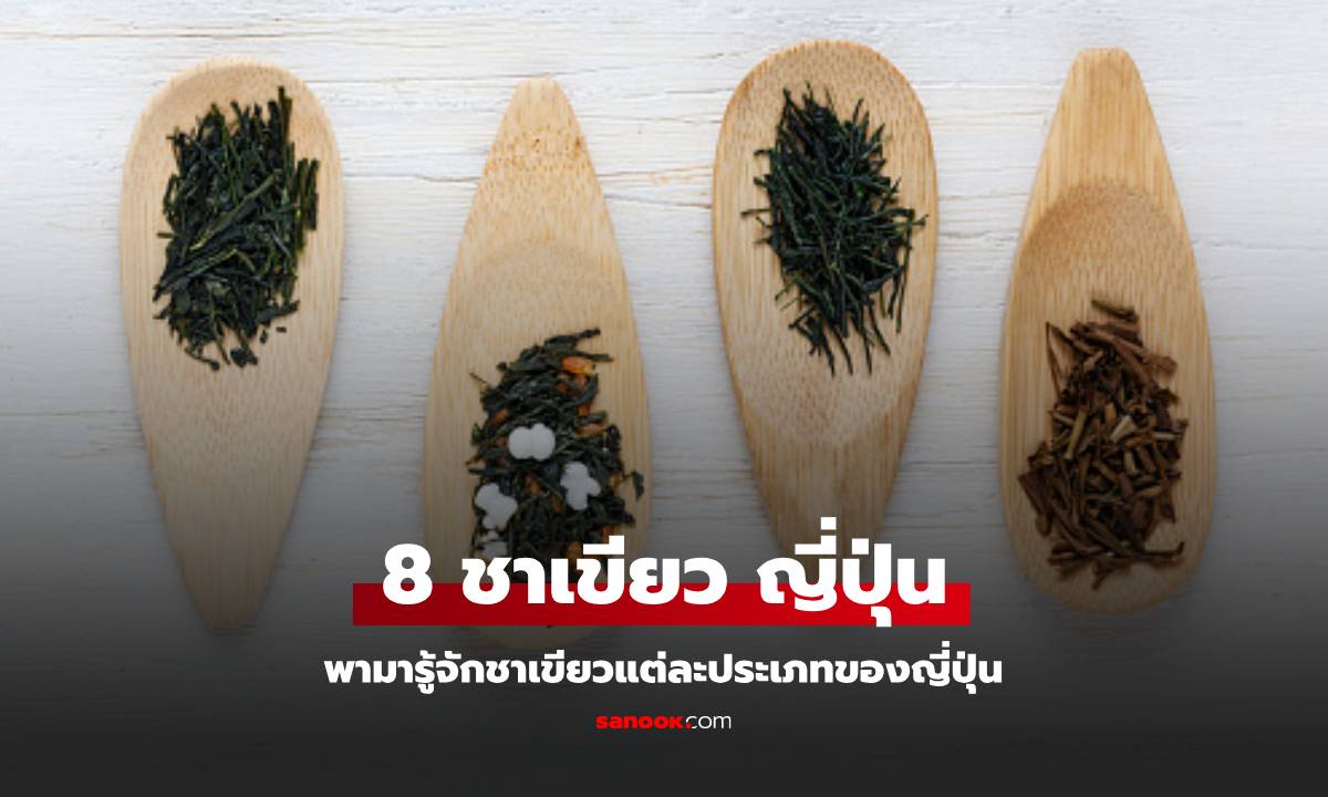 รู้จัก 8 ประเภท ชาเขียว ญี่ปุ่น มีอะไรบ้าง รสชาติต่างกันไหม