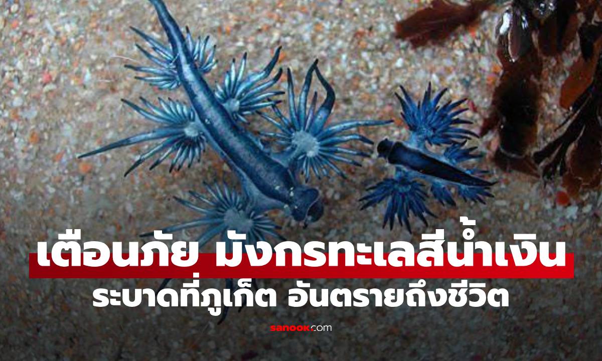 เตือนพบ \