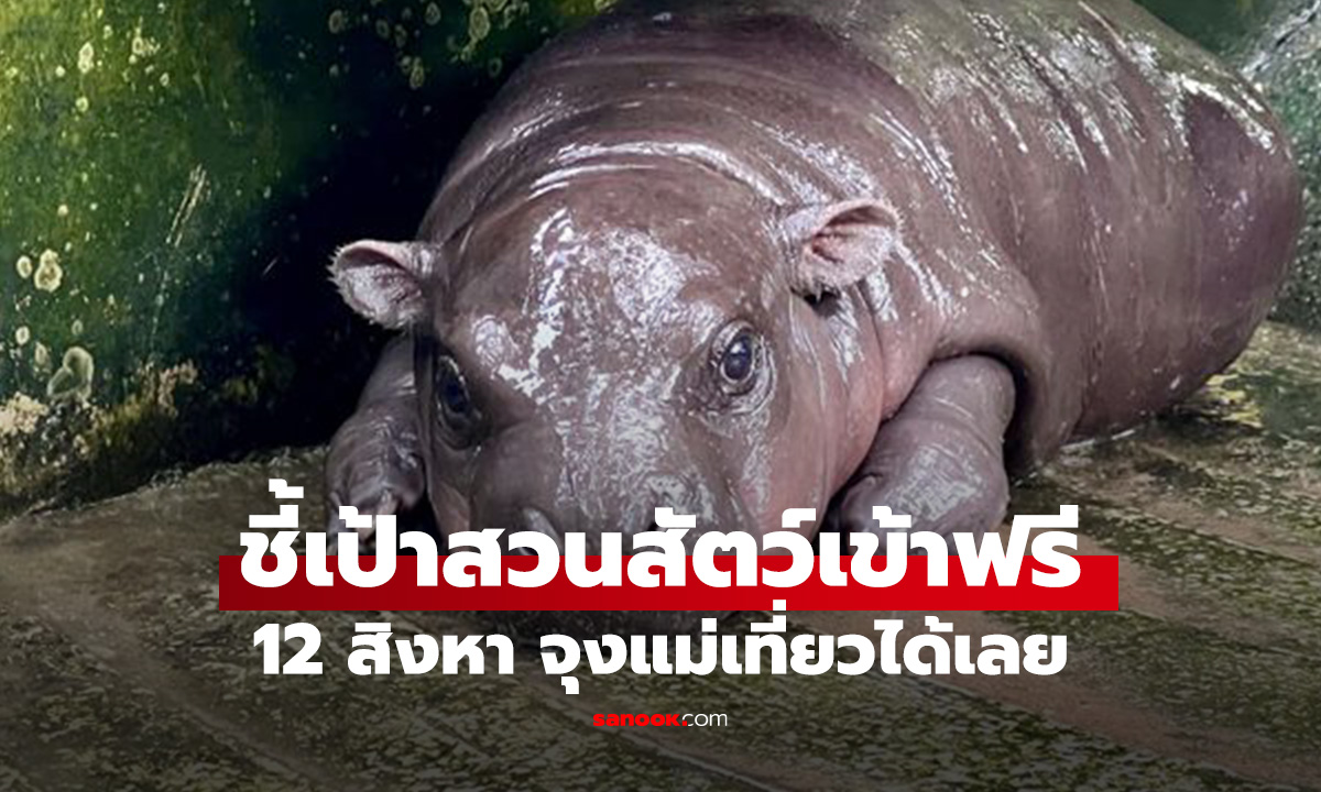 ชี้เป้า 12 ส.ค. นี้ เที่ยวสวนสัตว์ฟรี วันแม่ 2568 ทั่วประเทศ