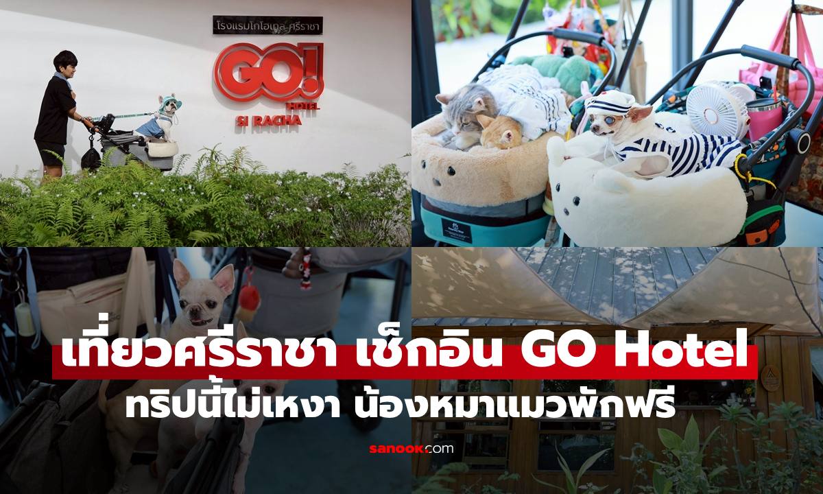 เที่ยวศรีราชา! เช็กอิน GO Hotel น้องหมาแมวพักฟรี แจกพิกัดร้านลับร้านสวยใกล้ที่พัก