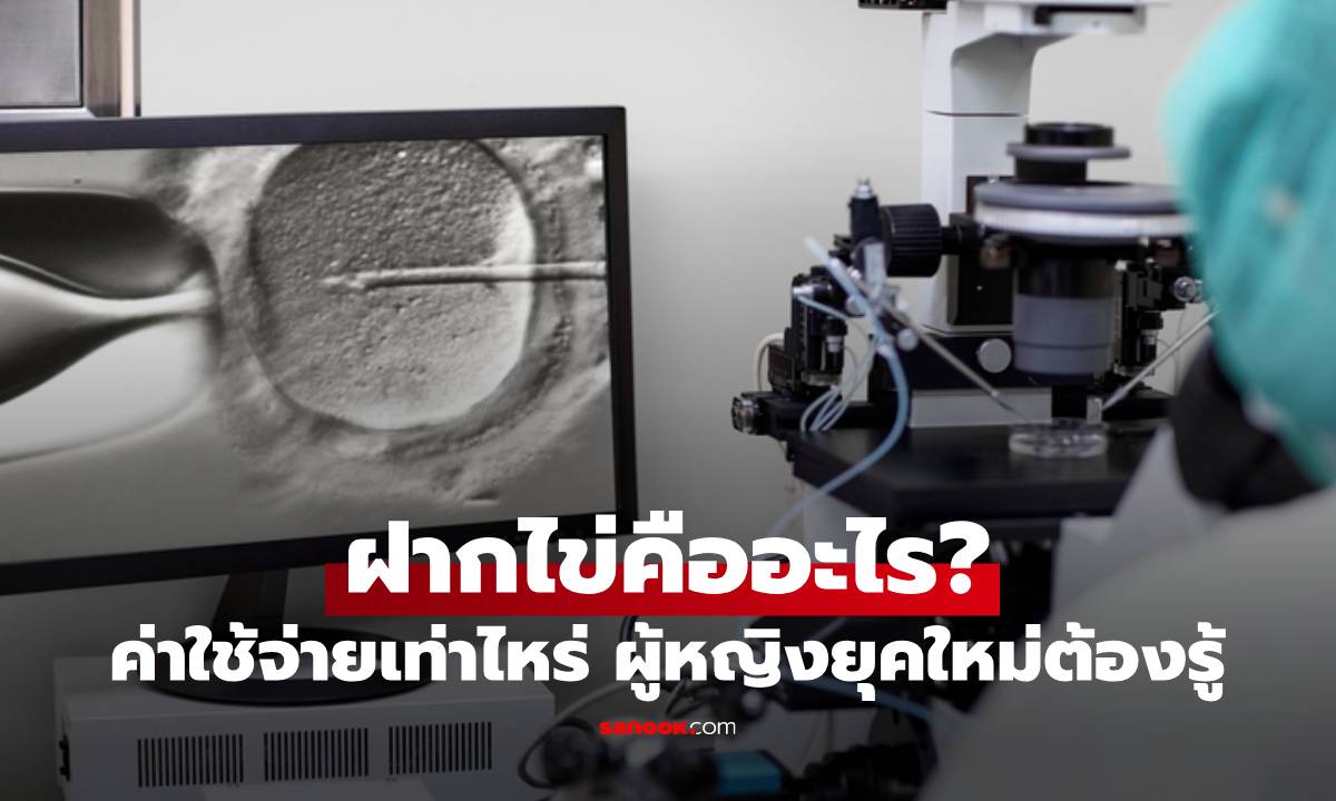 ผู้หญิงยุคใหม่ต้องรู้! ฝากไข่คืออะไร พร้อมค่าใช้จ่ายและสิ่งที่ควรเตรียมตัว